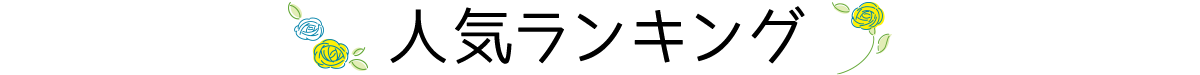 人気ランキング